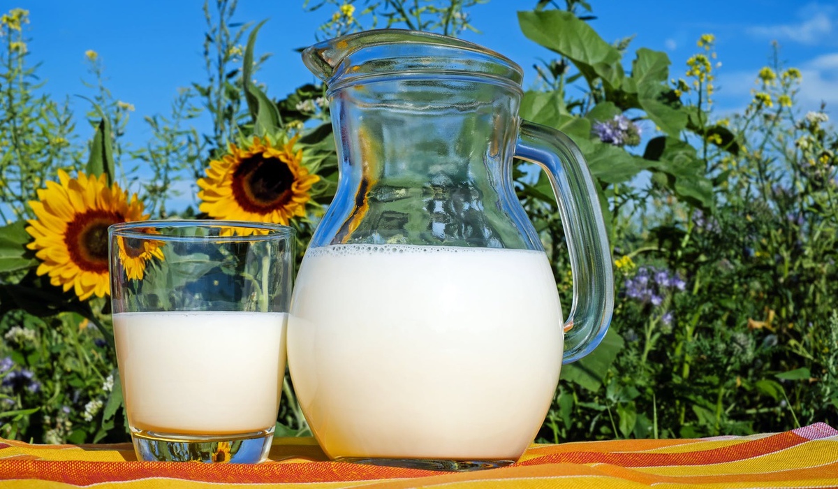 Молоко. 10 полезных свойств о которых вы не знали