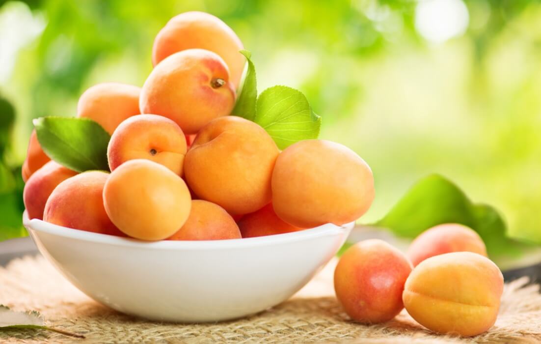 Польза и вред абрикоса