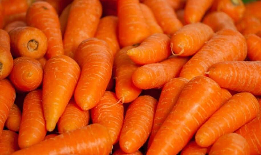 Польза и вред использования моркови в повседневном рационе 